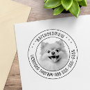 Search for photos rubber stamps For pets