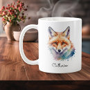 Search for red fox Illustration