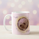 Search for light mugs Stars