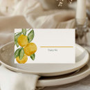 Search for lemon place cards Main squeeze