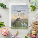 Search for unicorn and dinosaur Birthday