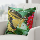 Search for swallowtail photography Summer