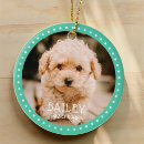 Search for puppys 1st christmas tree decorations Zpet
