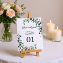 Search for eucalyptus table cards Greenery
