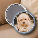 Search for chic classic magnets Create your own