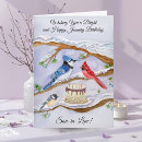 Search for backyard birds cards Cardinal