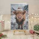 Search for cattle christmas cards Highland cow