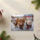 Search for cow postcards Farm