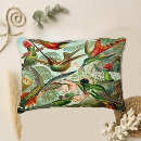 Search for hummingbird cushions Artistic