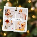 Search for elegant pet memorial ornaments Celebration of life