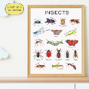 Search for insectes posters For kids