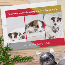 Search for cat pun christmas cards Merry and bright