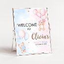 Search for gender reveal signs Teddy bear