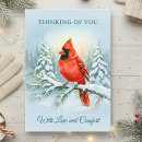 Search for remembrance christmas cards Cardinal