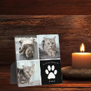 Search for pet portraits In loving memory