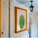 Search for ficus posters Plants