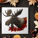 Search for moose tiles Nature