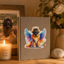 Search for loss of pet stickers Rainbow bridge