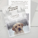 Search for dog memorial cards Forever in our hearts