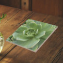 Search for chick tiles Floral