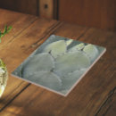 Search for agave tiles Botanical
