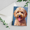 Search for golden doodle puppies cards Poodle
