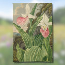 Search for vintage botanical tea towels Pretty