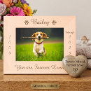 Search for picture frames Pet