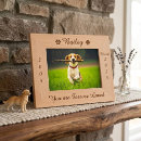 Search for picture frames Pet