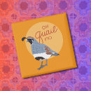 Search for desert bird magnets Arizona