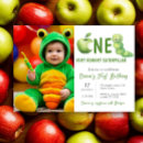 Search for very hungry caterpillar First birthday