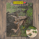 Search for logging puzzles Nature