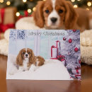 Search for spaniel christmas cards Canine