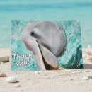 Search for dolphin photography Sea life