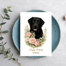 Search for labrador cards Pet