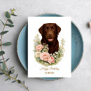 Search for labrador cards Pet