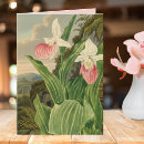 Search for vintage botanical cards Pretty