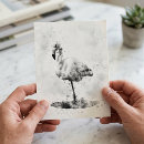 Search for splatter paint postcards Black and white