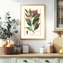 Search for clove posters Illustration