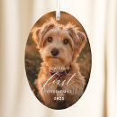 Search for cat picture christmas tree decorations Dog