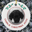 Search for puppies christmas tree decorations Puppy