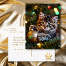 Search for cute pun postcards Kitten