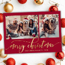 Search for faux gold foil christmas cards Typography