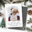 Search for pet dog christmas cards Simple