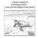 Search for turtle office supplies Classroom