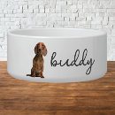 Search for pet supplies Cute