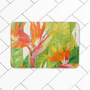 Search for bird bath Bird of paradise