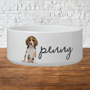 Search for beagle dog bowls Cute