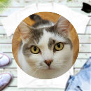 Search for clothing labels Iron on