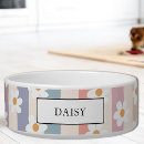 Search for pattern pet supplies Floral